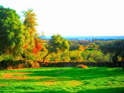 Paesaggio naturale nelle vicinanze of country house