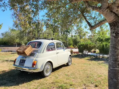Giardino di La Solidea - Villa con giardino a pochi passi da Cala Ginepro