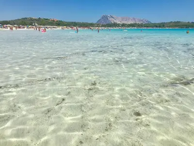 Paesaggio naturale nelle vicinanze dell'appartamento