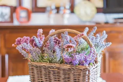Planimetria di Casa Lentischio