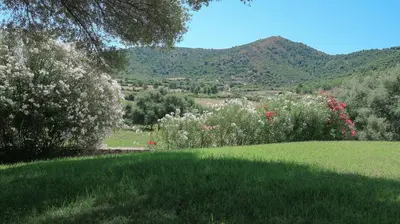 Paesaggio naturale nelle vicinanze della casa vacanze