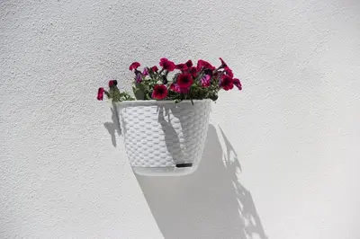 Planimetria di Casa Berenice