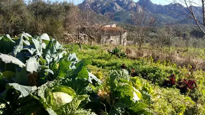 Paesaggio naturale nelle vicinanze dell'affittacamere