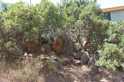Giardino di Villa Vera