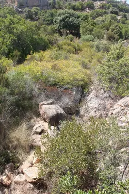 Paesaggio naturale nelle vicinanze della casa vacanze