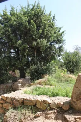 Giardino di Villa Vera