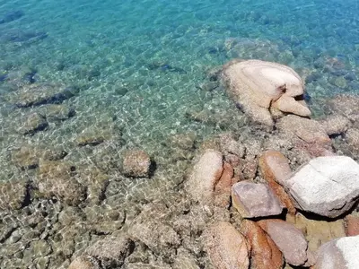 Paesaggio naturale nelle vicinanze dell'appartamento