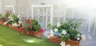 Giardino di La Smeralda - Boutique Rooms and Breakfast
