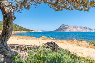 Paesaggio naturale nelle vicinanze della casa vacanze
