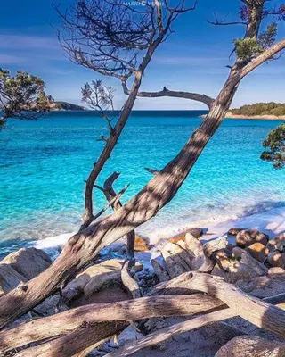 Paesaggio naturale nelle vicinanze dell'appartamento