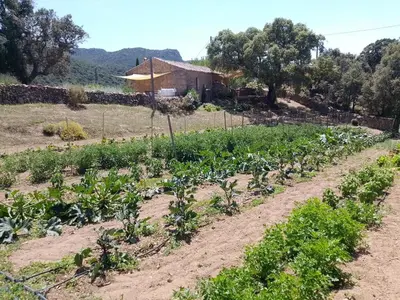 Giardino di holiday home su Niberalzu