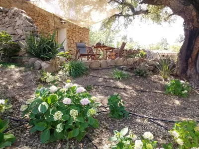 Giardino di holiday home su Niberalzu