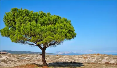 Paesaggio naturale nelle vicinanze dell'appartamento