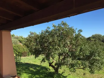 Giardino di Domo Giulia