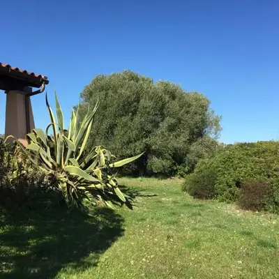 Domo Giulia