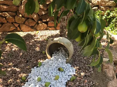 Giardino di Casa del Mare