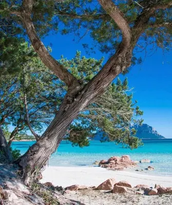 Paesaggio naturale nelle vicinanze della casa vacanze