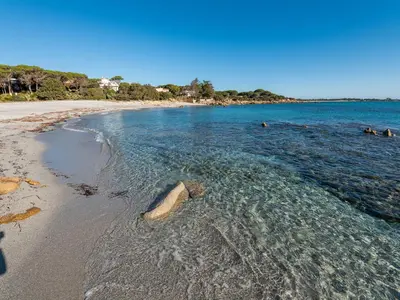 Paesaggio naturale nelle vicinanze dell'appartamento