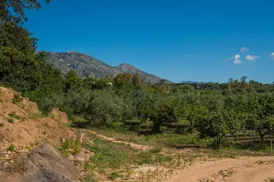 Paesaggio naturale nelle vicinanze della casa vacanze