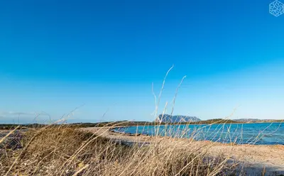 Paesaggio naturale nelle vicinanze dello chalet