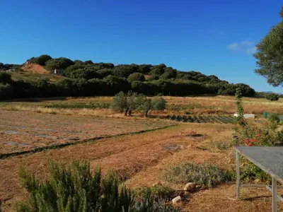 Paesaggio naturale nelle vicinanze dell'agriturismo