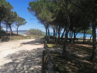 Paesaggio naturale nelle vicinanze della stanza in casa privata