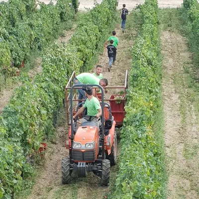 Ospiti di Agriturismo Vermentino