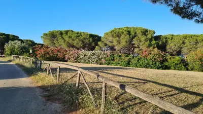 Paesaggio naturale nelle vicinanze dell'appartamento