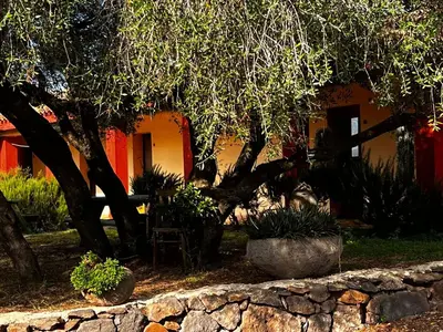 Giardino di Agriturismo Conca' e Janas