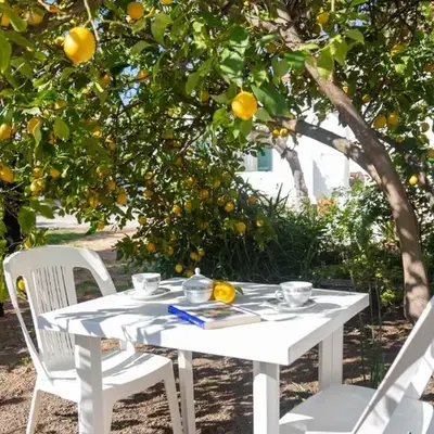 Appartamenti Melograno e Fico