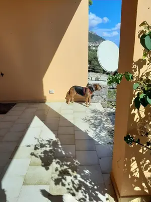 Ospiti di Luna e Mare con animali domestici