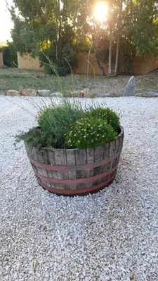 Giardino di Casa vacanze Olbia - ALEBEA -