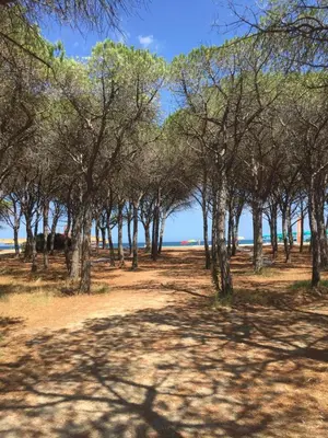 Paesaggio naturale nelle vicinanze dell'appartamento