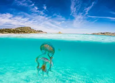 Paesaggio naturale nelle vicinanze della casa vacanze