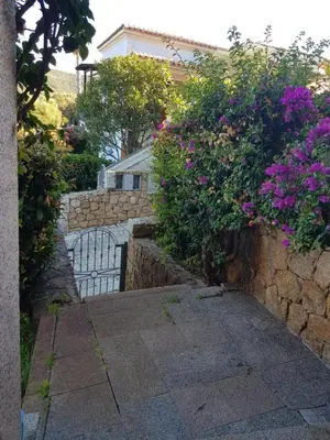 Giardino di Casa Cala Sardegna Budoni Residence con Piscina