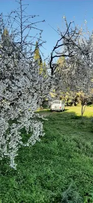Giardino di Domo Mia