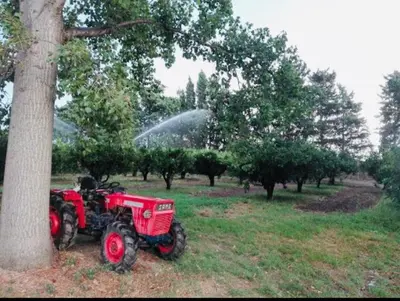 Giardino di Villa Cedrino Orosei