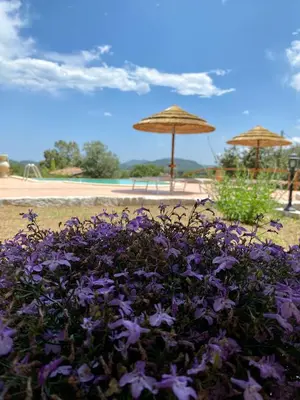 Paesaggio naturale nelle vicinanze del bed & breakfast
