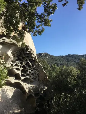 Paesaggio naturale nelle vicinanze dell'appartamento