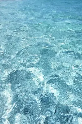 Paesaggio naturale nelle vicinanze dell'affittacamere