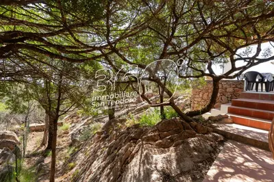 Paesaggio naturale nelle vicinanze della casa vacanze