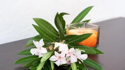 Planimetria di Casa L'Alzoni