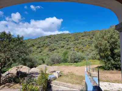 Paesaggio naturale nelle vicinanze della casa vacanze