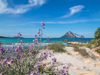 Paesaggio naturale nelle vicinanze dell'appartamento