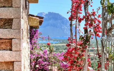 Paesaggio naturale nelle vicinanze dell'affittacamere