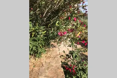 Giardino di Le Farfalle Appartamento in villa trifamiliare