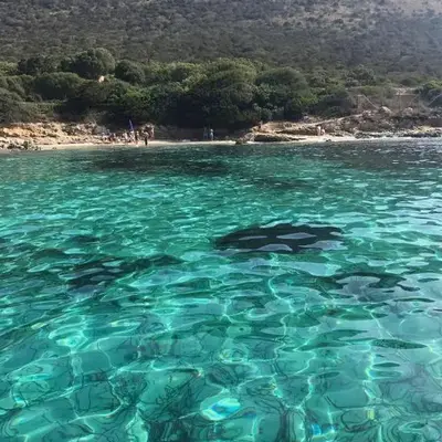 Le Farfalle Appartamento in villa trifamiliare