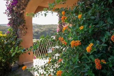 Balcone o terrazza di Sherden suites - Your House in Sardinia