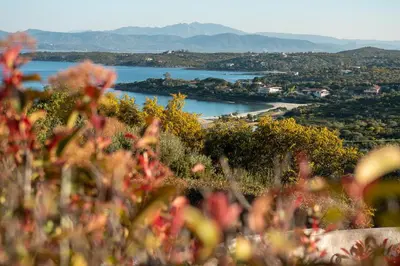 Paesaggio naturale nelle vicinanze dell'appartamento
