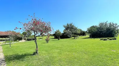 Giardino di ISS Travel, San Teodoro 1 - 100 m from Cala d'Ambra Beach